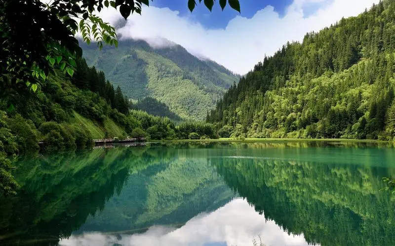 高性能高端